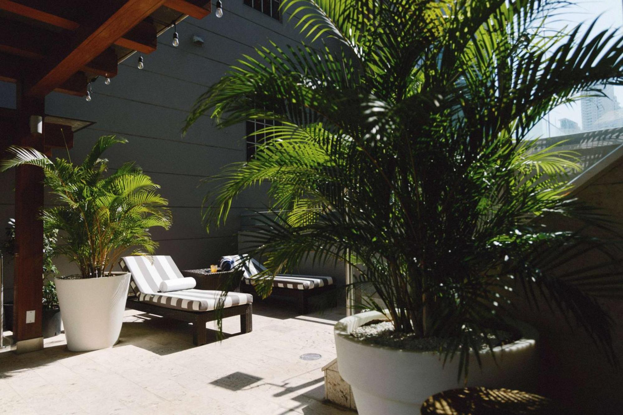 Bristol Panama, A Registry Collection Hotel מראה חיצוני תמונה The spa at the Mandarin Oriental, Washington DC